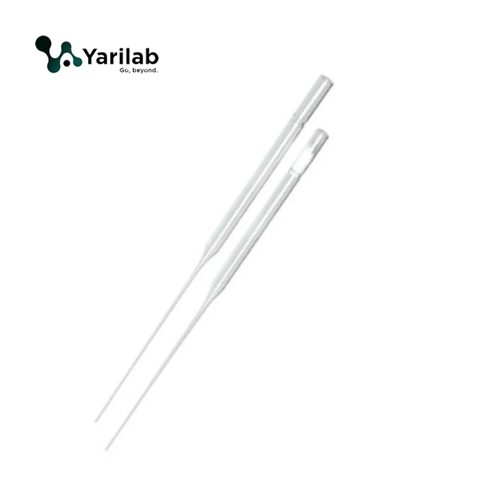 Pipette pasteur en verre cotonnée non fermée 230mm (Boite/250)
